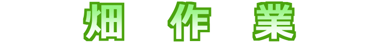 畑作業
