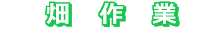 畑作業