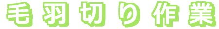 毛羽切り作業